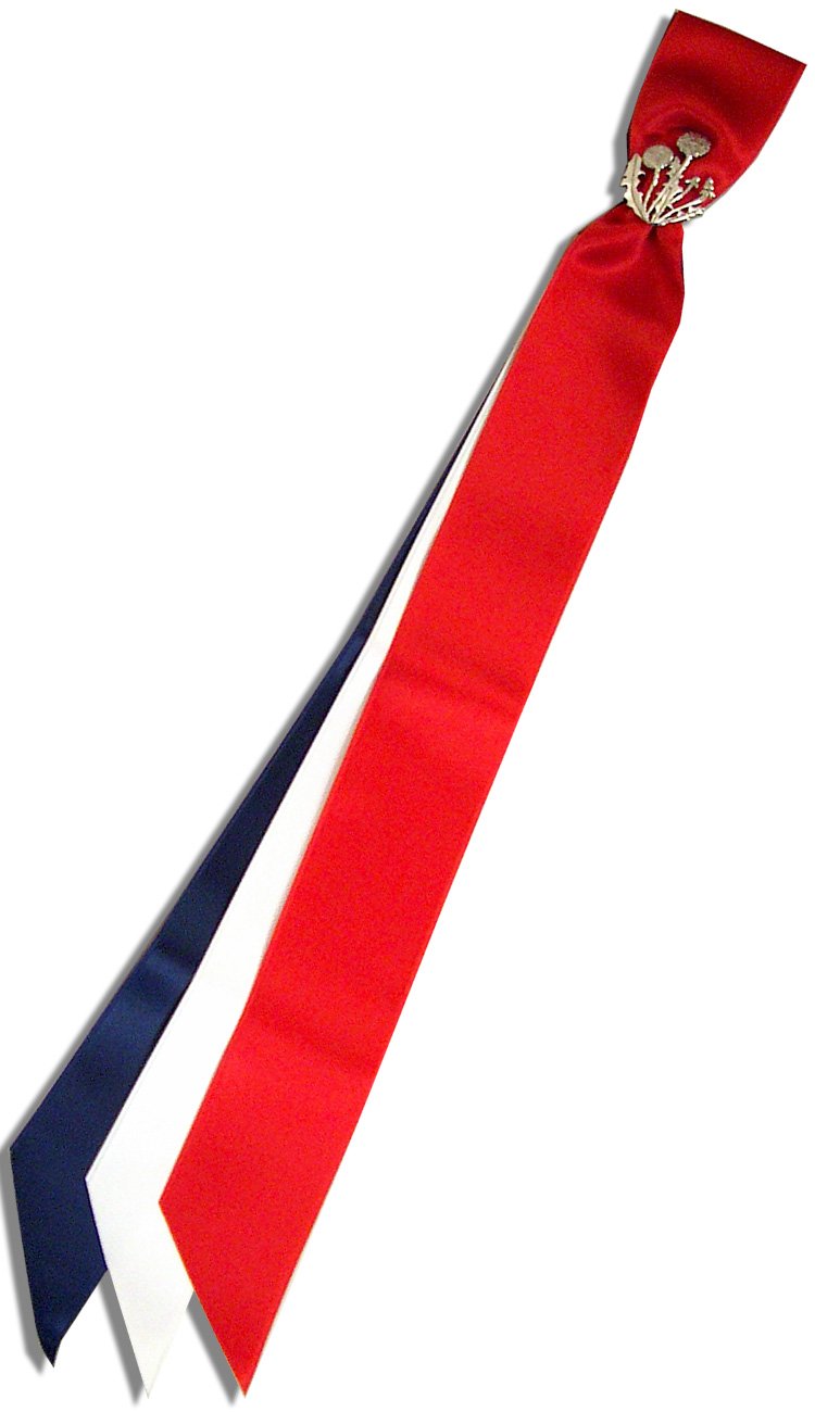 Løvetann  17.maisløyfe