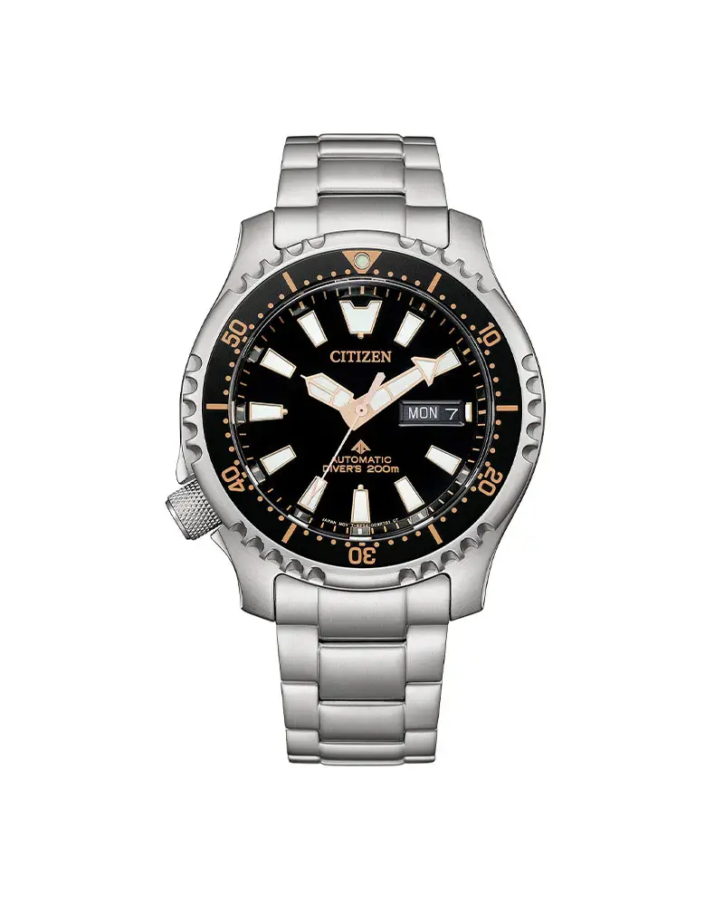 Promaster Marine Stål / Sort